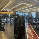 옥스 휘트니스 이미지