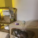 하이유 동물병원 이미지