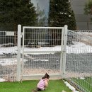 피플펜션 이미지