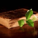 바로여기약국 이미지