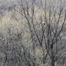 숲속의 휴식 이미지