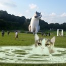 자이언트텔레콤 이미지