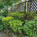 힐팰리스 이미지