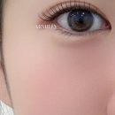 아르밀리