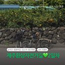 씨유(CU) 일산백마점 | 브롬톤 국토종주) 제주환상자전거길 2일차 : 송악산~법환바당~쇠소깍~표선해변인증센터 / 영은맛집...