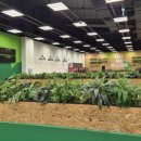 후레쉬미트 | 트레이더스 일산점 푸드코트 &#34;리치치즈피자&#34;, &#34;더블미트치즈버거&#34; 주문후기/소프트아이스크림 꼭 먹기!