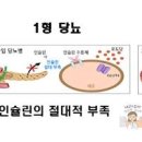 [혈당 낮추는 음식]1형당뇨 2형당뇨 차이와 1년 관리 이미지