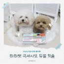 하하 | 강아지 양치 필수템! 하하펫 듀얼 칫솔 사용 후기