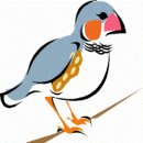 Re:--금화조(Zebra Finch) 이미지