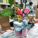드림플러스아트