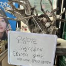 신비섬횟집 이미지