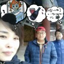 와들와들