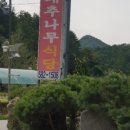 대추나무식당 이미지