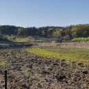 포리 소공원 이미지