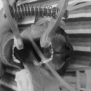 한가람동물의료센터 이미지