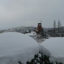 용교 농장 이미지