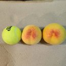 스윗그린 이미지