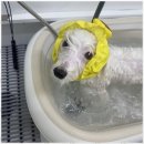 사계절, 멍 이미지