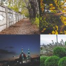 생경희한의원 이미지