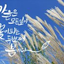 살랑말랑 - 송파구 | 살랑말랑