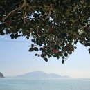 완도군신지면보건지소 이미지