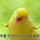 미나상 이미지