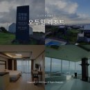 오투힐 리조트 | 제주 힐링여행 동쪽 오션뷰 숙소 <제주오투힐리조트> 1박 &amp; 명상 체험 후기