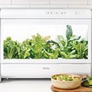 서우 농장 이미지