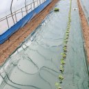 유림농장 이미지