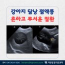 리엔동물의료센터 이미지