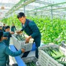 윤택농장 이미지