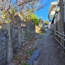 중앙동172 이미지