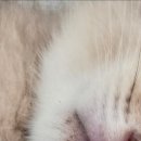 남양엘약국 이미지