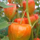 하일한드미마을 이미지