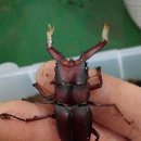 다온농장2 이미지