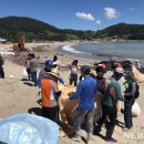 완도19호 이미지