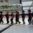 쌍용농장 이미지