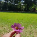 서원농원 이미지