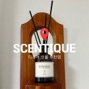 우디밸리 | [추천템] 집들이 선물로 딱인 IFC몰 센티크 | 우디 밸리 디퓨져 후기