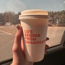 평택-W-134 | 일상 #47 [4.1-7 Mon-Sun] 봄이 왔어요🌸