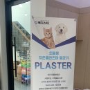 제일동물병원 이미지