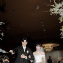 그린피드 | W9-📸본식 스냅 계약 후기(딥다운그린)