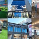 도그마루 강아지고양이 안산점 이미지