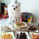 야이노마 이미지