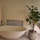 나무호텔 이미지