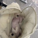 국기도장 - 김해시 송현로 58 | 즉흥과 무모함 그 어디쯤. 비자안나온 자의 워홀입국기, 플래그폴링 후기, 강아지도 함께하는 고난과 역경