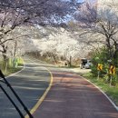 방아실입구.와정리 네이버블로그