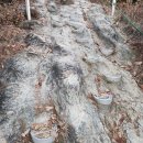 세븐일레븐 광주풍암대주점 | 광주광역시 금당산