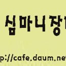 브로콜리 재배 방법 이미지