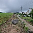 동광리-6 이미지